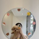 프롬율무 이미지