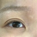 시즌뷰티 | 안산속눈썹연장 시즌뷰티 마스카라연장 후기