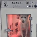 구르미교육 이미지