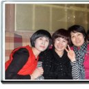 대성(경남) Daum카페