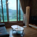 스테이 도트 이미지