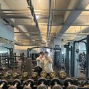 JS 휘트니스 이미지