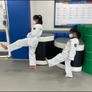 태권한류 이미지