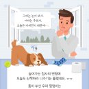 댕댕# 이미지