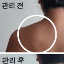 홍보성 Daum카페