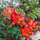 일기일회 이미지