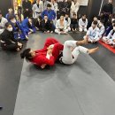 라이온 체육관 이미지