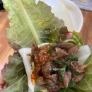 금당 우리집 오리 이미지