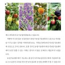 노영순농장 네이버블로그