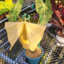 [10/20]가드닝 클래스 이미지