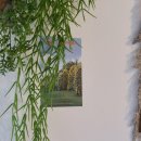 라임이즈 이미지