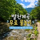 주)트라이얼코리아 함안점 | 경남 함안 별천계곡 물놀이 명소 아이와 전세 낸 듯 놀고 왔어요