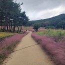 가산수피아 이미지