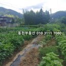 내서읍123 이미지