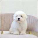 유어라운지 이미지