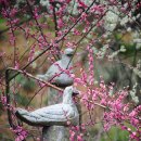 한화농원 이미지