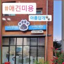 가장아름답개 이미지