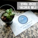 라디오카페 네이버블로그