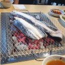 팔팔민물장어나라 이미지