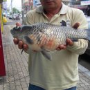 신동지낚시터 이미지