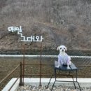 개버랜드 이미지