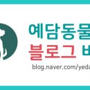 예담동물병원 이미지