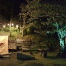 섯다장어 이미지