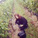 황제농장 이미지