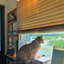 북스테이 시점 이미지