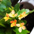 세무서길 이미지