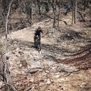 원주산악자전거파크 이미지