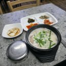 낚시이야기피싱 | 대천항 천하피싱 쭈꾸미 선상낚시 솔직 후기 (조황 · 예약팁 · 시설정보)