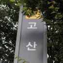 대구골목투어