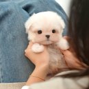 송이로14길 이미지