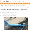 군의 거짓말 일소할 국방장관 임명하라! 이미지