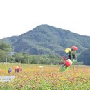 산소카폐 청송정원 (1) 이미지