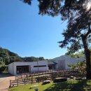 수덕사근역성보관 이미지