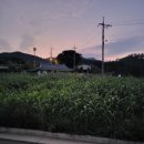 마파도민박 이미지