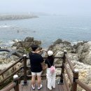 오공삼펜션 | 삼척 1박2일 여행 :: 마카올래, 장호항, 갈남항, 부명칼국수, 삼척해수욕장, 모래하트샷, 순두부젤라또