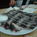 장어잡는날 이미지