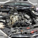 오토엘리펀트 이미지