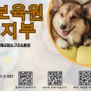 동물보육원 부천지부 네이버블로그