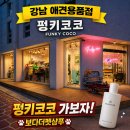 펑키애견 | 강남 애견용품점 펑키코코 방문 후기(일본 수입 펫용품점)