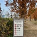 그늘막131 이미지