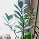 월배로 97길 이미지