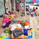 금진농장 이미지