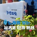 서귀포초등학교 | 노래방도 있어 즐거웠던 제주 서귀포 단체 펜션