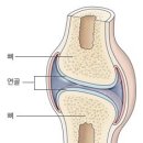 서신태평양약국 이미지