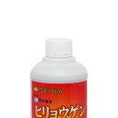 색달동-8 이미지