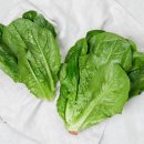 로메인키친